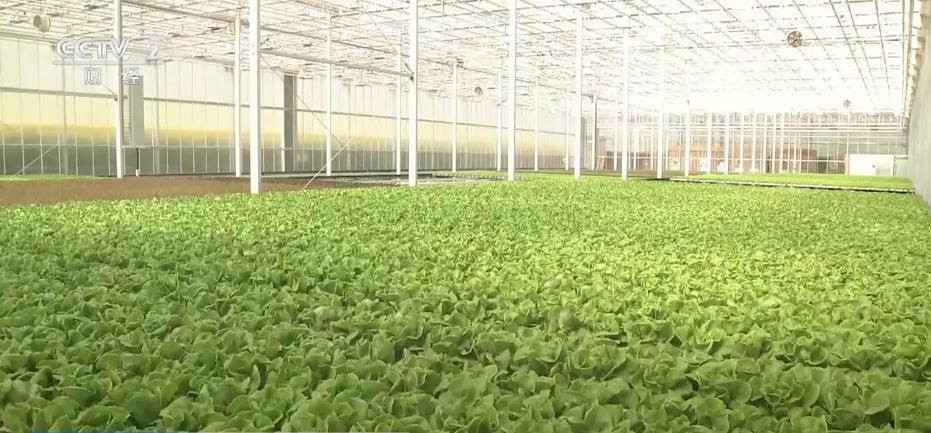 新装备、新科技加速农产品提质 助力现代农业增效——北京新科技的探索与实践